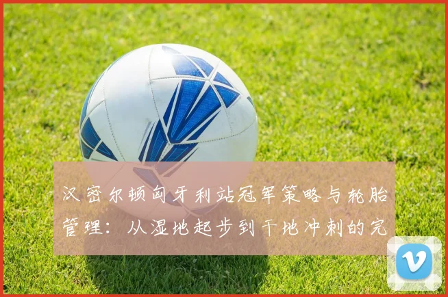 汉密尔顿匈牙利站冠军策略与轮胎管理:从湿地起步到干地冲刺的完美节奏掌控