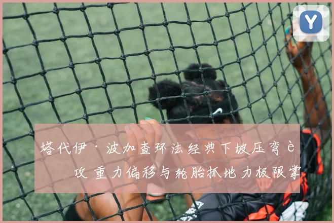 塔代伊·波加查环法经典下坡压弯进攻 重力偏移与轮胎抓地力极限掌控分析