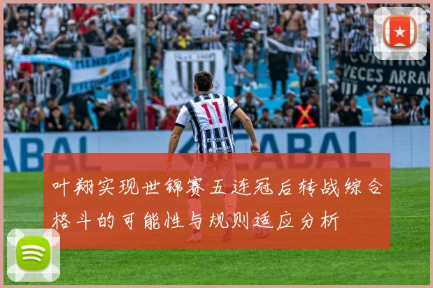 叶翔实现世锦赛五连冠后转战综合格斗的可能性与规则适应分析
