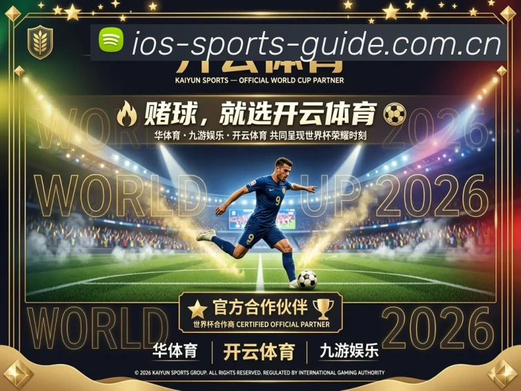 未来规划